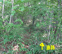 �ǂ��ɓ����H�i���j