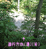 �s���~�܂�B