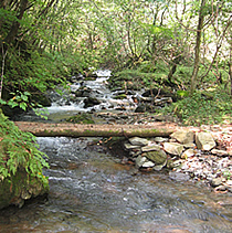 ���̉����Ă̂͐S������܂��Ȃ��B