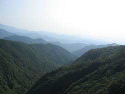 �Z���򋴂���̒���